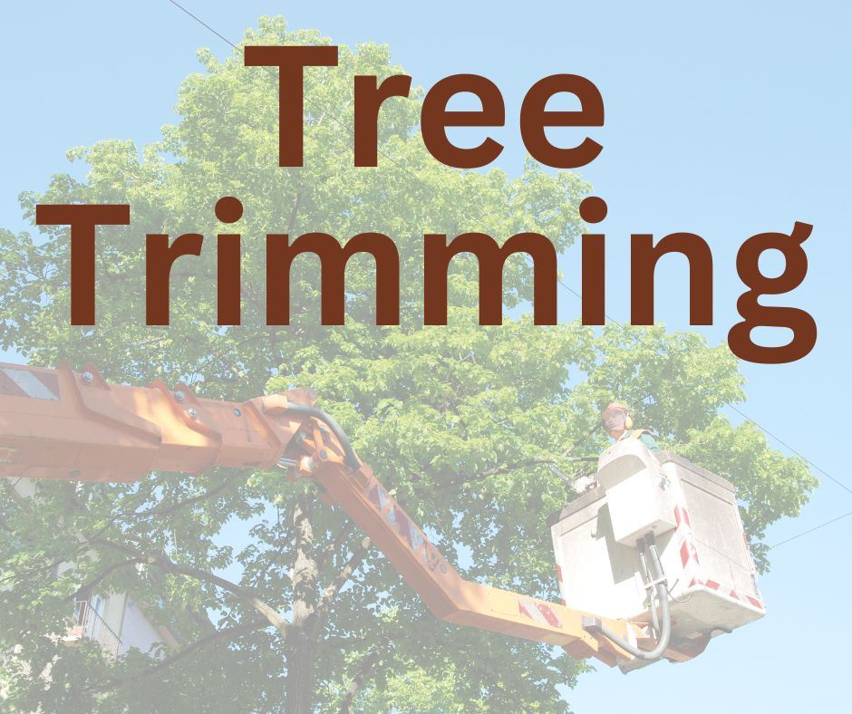 Tree Trimming