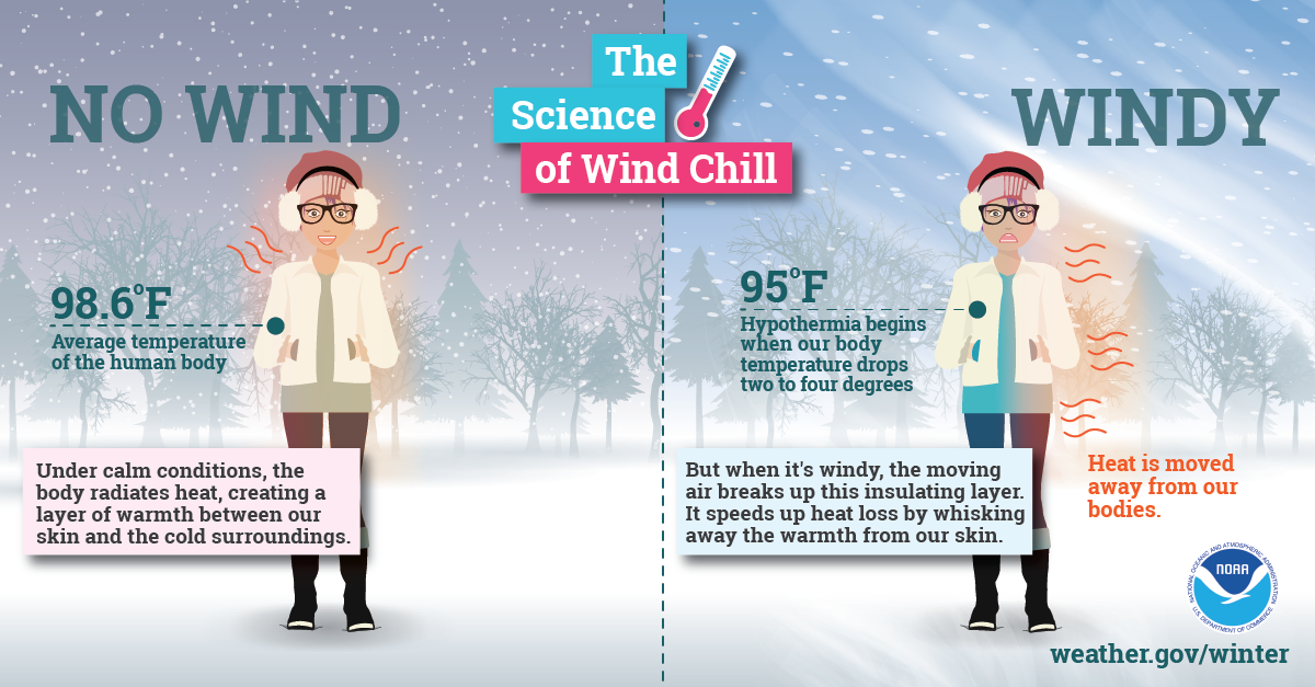 science_of_wind_chill